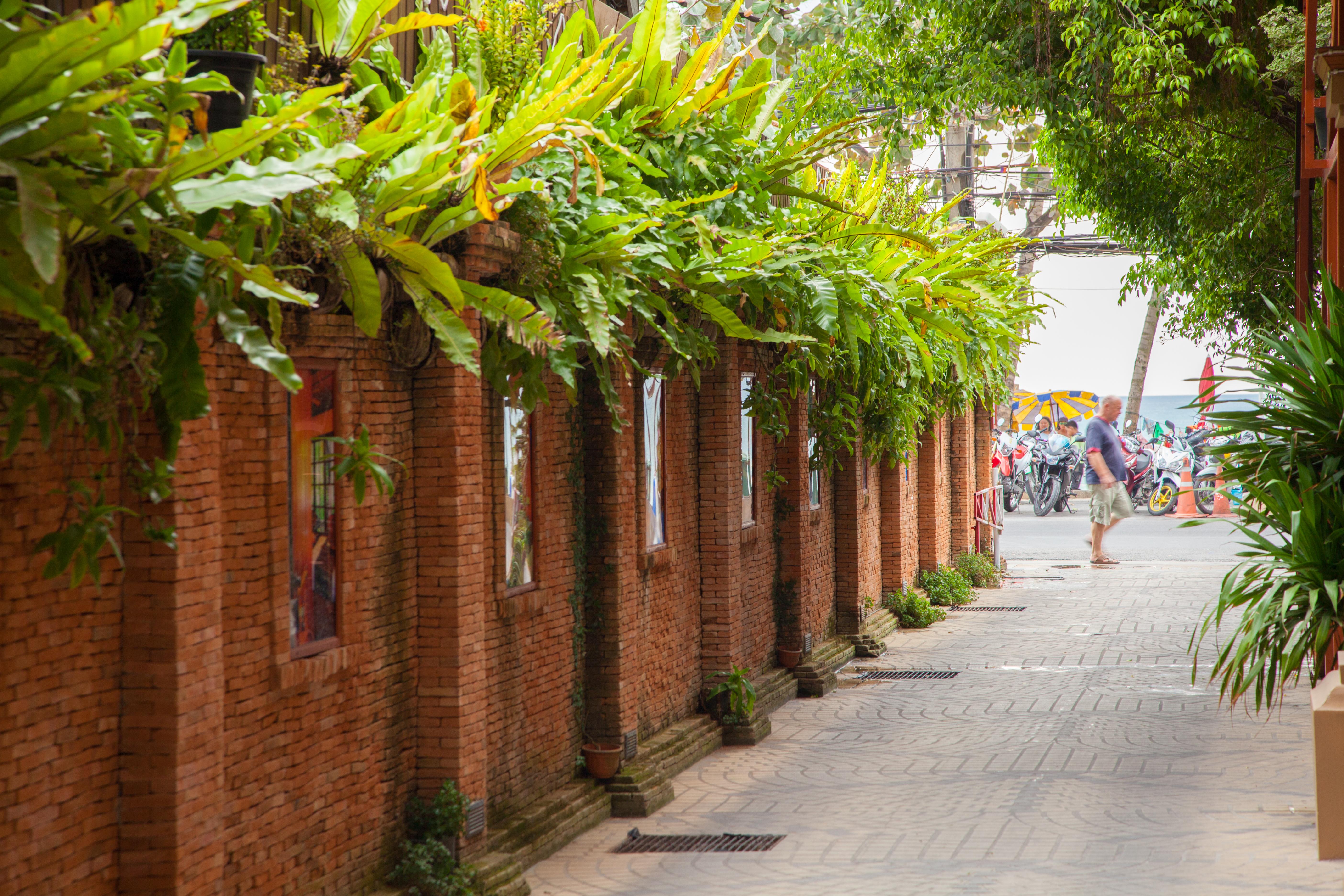 Tropica Bungalow Beach Hotel Patong Luaran gambar
